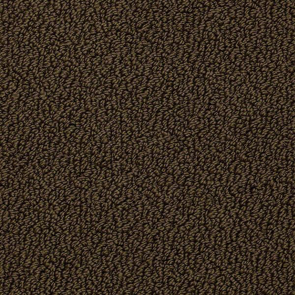 shaw nylon berber carpet