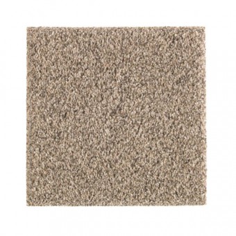 Nature's Elegance | Mohawk Carpet | Shop from Home and Save!