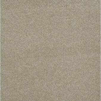 Malibu III|DW Select| Dreamweaver Carpet | Shop from Home and Save!