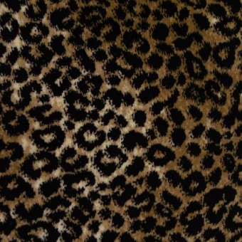 Lake Jaguar | Royal Dutch Carpet | Shop from Home & Save! at Carpet Express