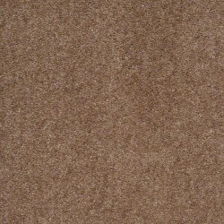 Optimum Shaw Carpet Shop From Home Save