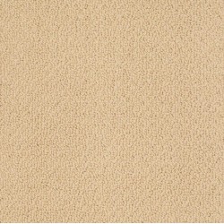 Tuftex Carpet - Save 30-50%